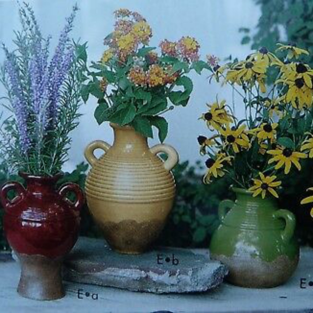 Southern living olive jar set